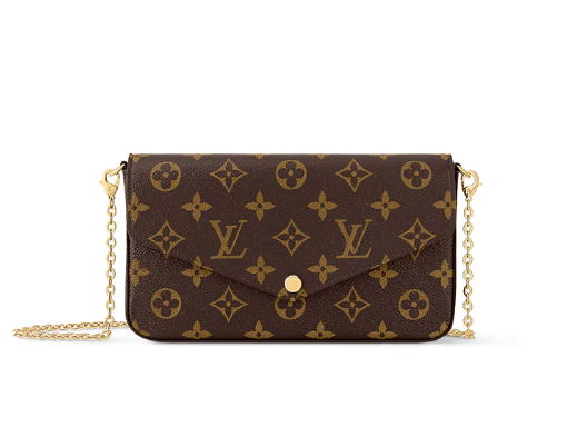 Louis Vuitton Women Bag