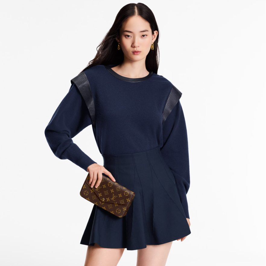 Louis Vuitton Women Bag