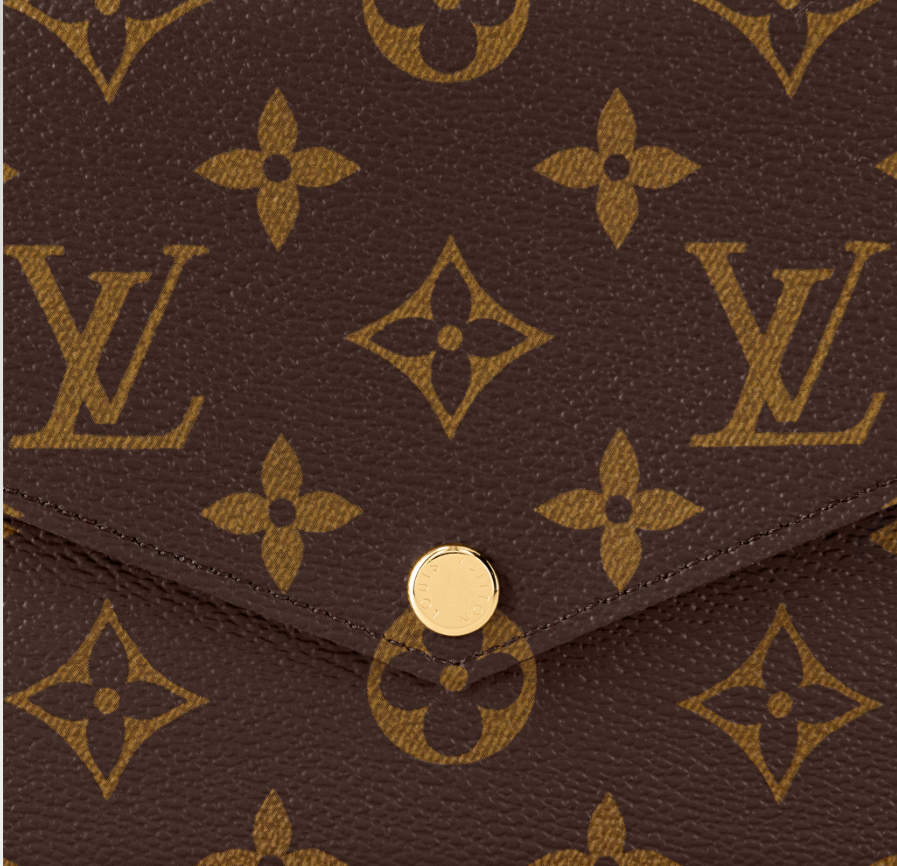Louis Vuitton Women Bag