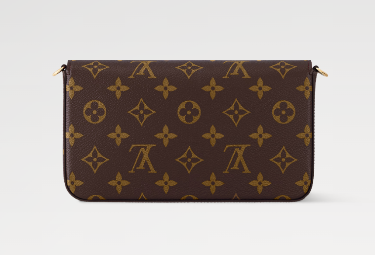 Louis Vuitton Women Bag