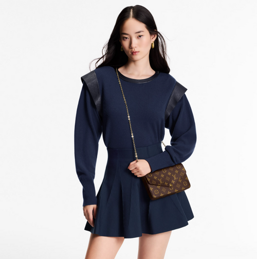 Louis Vuitton Women Bag